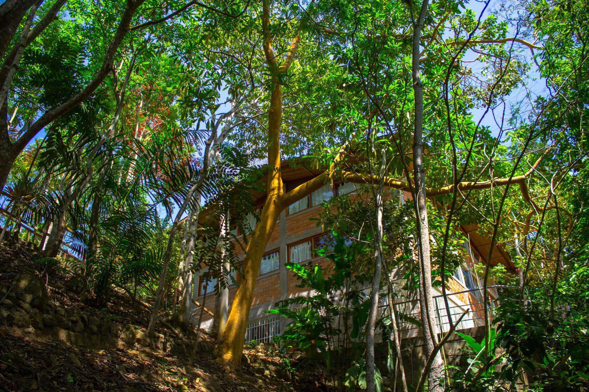 Yacumaman Sanctuary Tarapoto Exterior foto